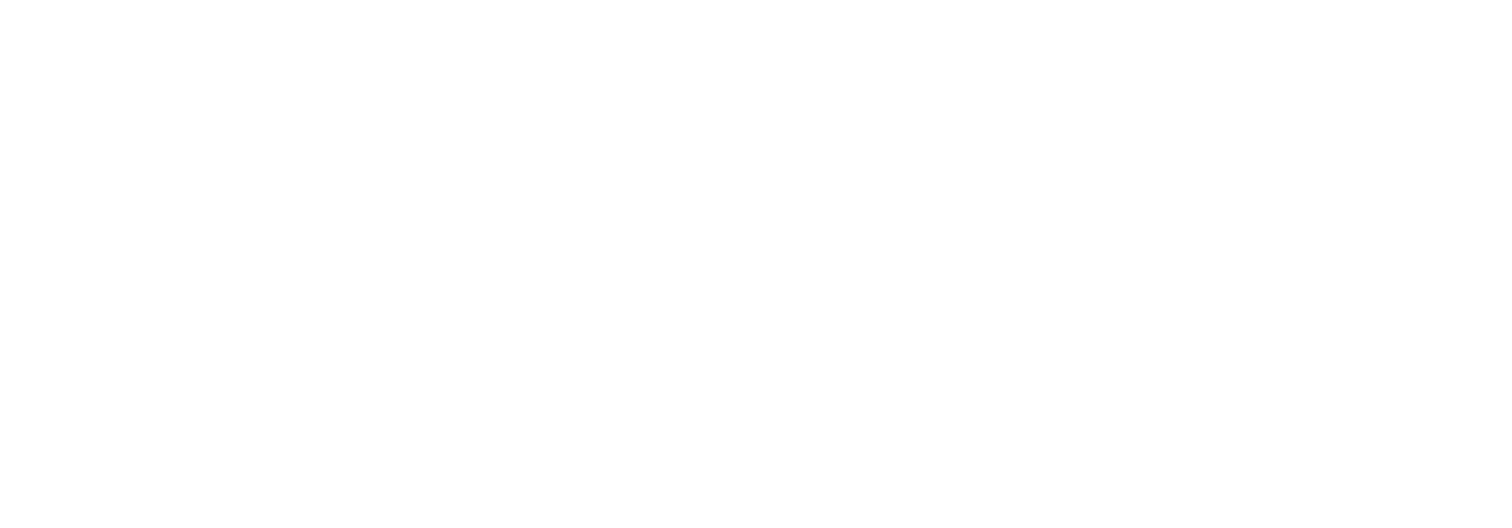 KLP_Logotipas_White_Transparent